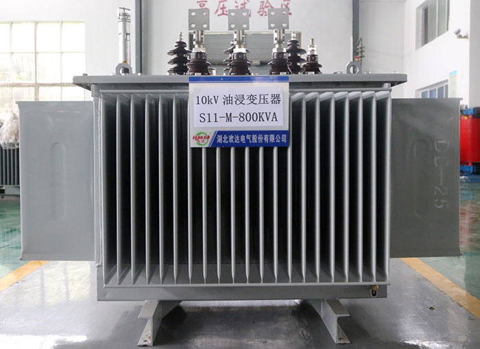 哈尔滨10kV油浸变压器S11-M-800KVA