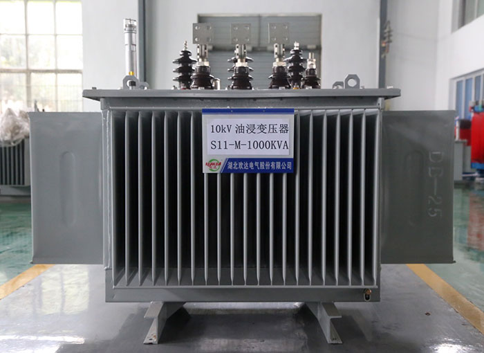 唐山10kV油浸变压器S11-M-1000KVA