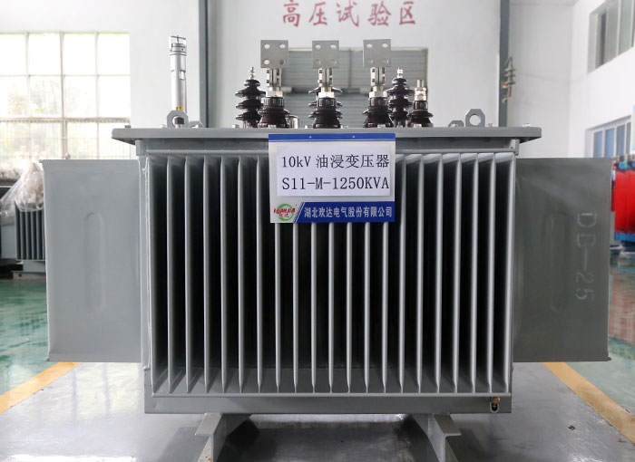 双鸭山10kV油浸变压器S11-M-1250KVA